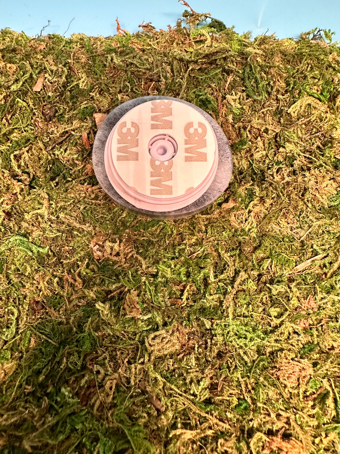 Smiling Skull Pop Socket