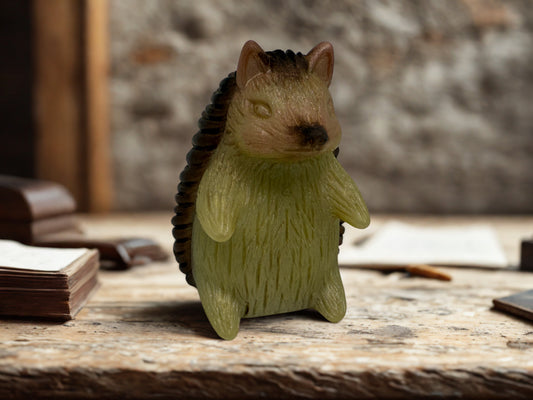 What a Cute Little Hedgehog