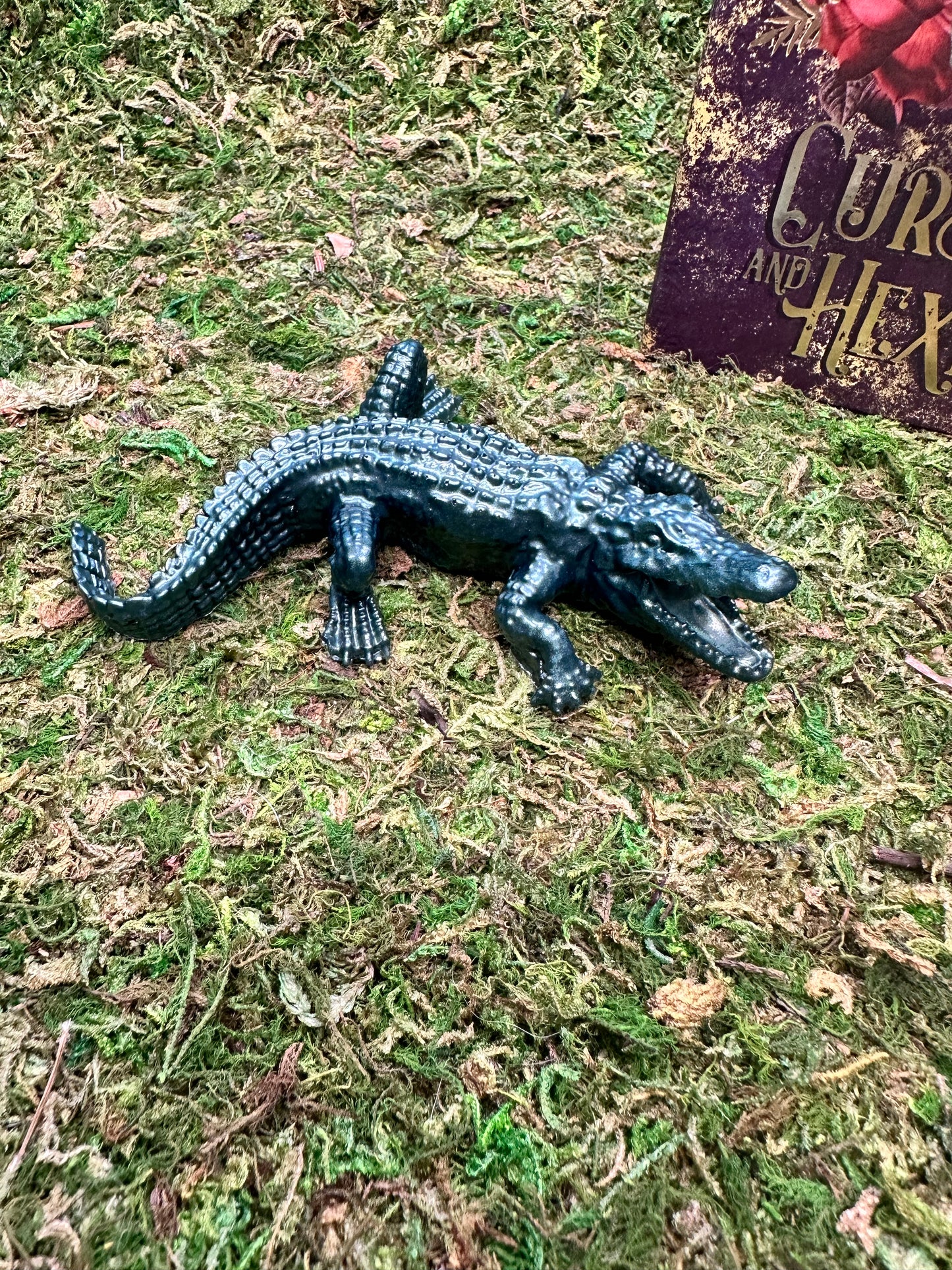 Aggressive Little Alligator