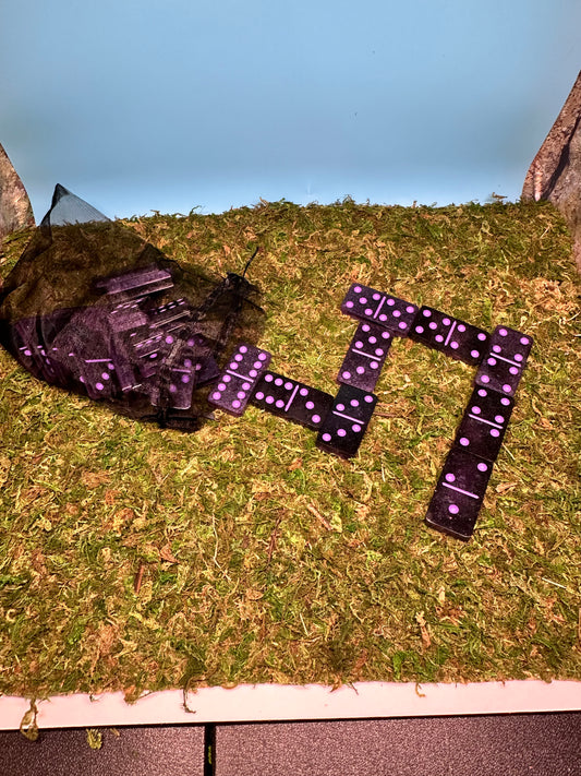 Black and Purple Dominoes Set