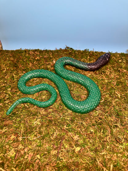 Black and Green Snake