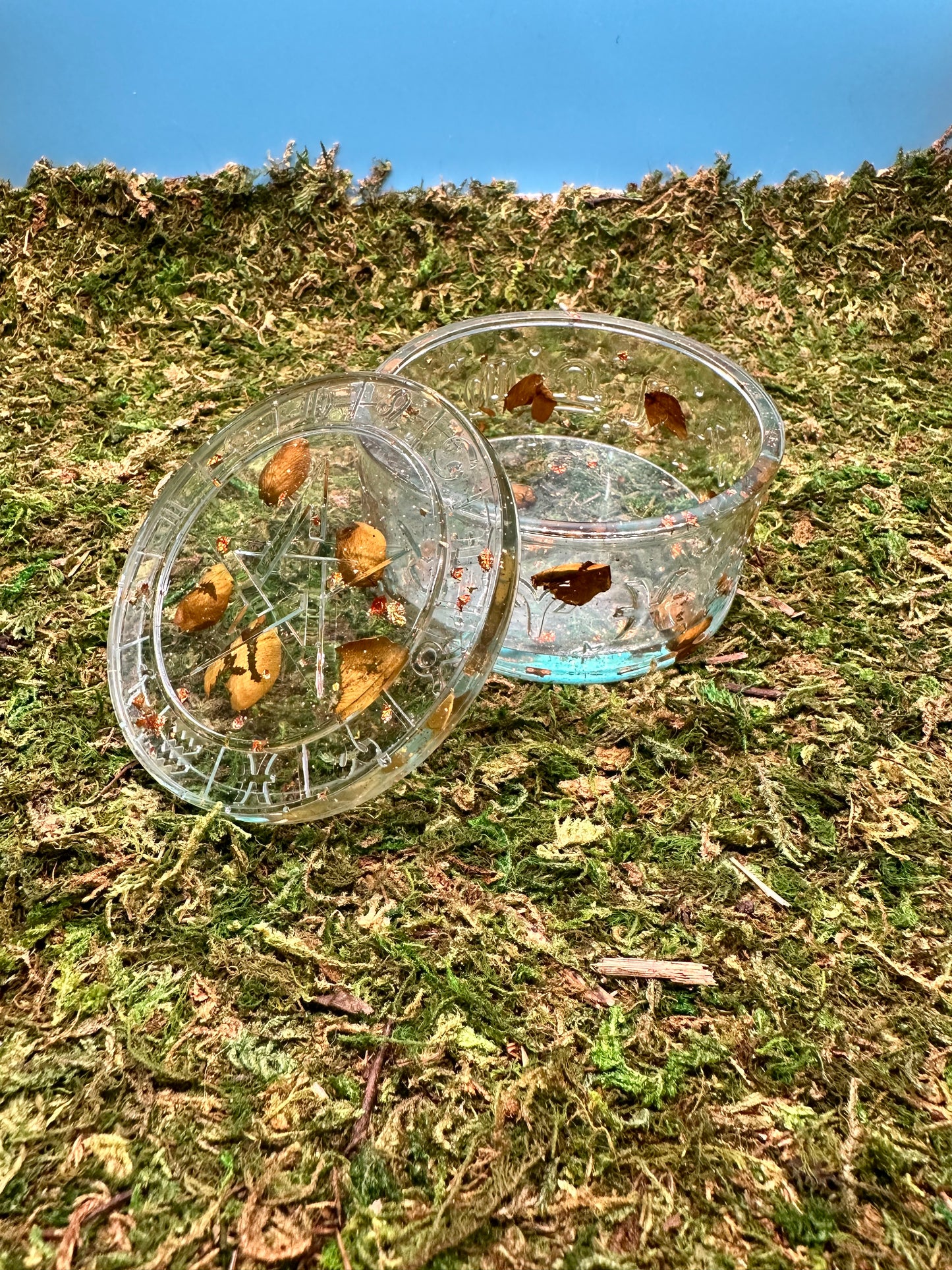 Transparent Trinket Box with Rose Petals