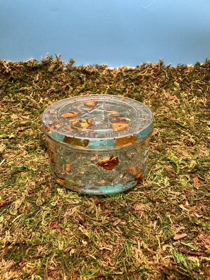 Transparent Trinket Box with Rose Petals