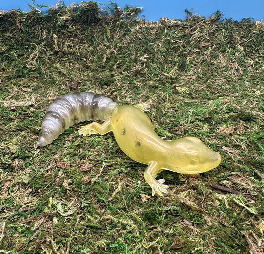 Yellow Leopard Gecko Yo