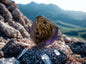 Encased Geode Cluster Twins